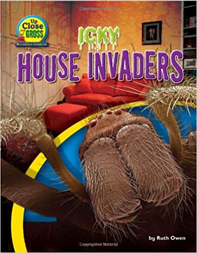 Icky House Invaders