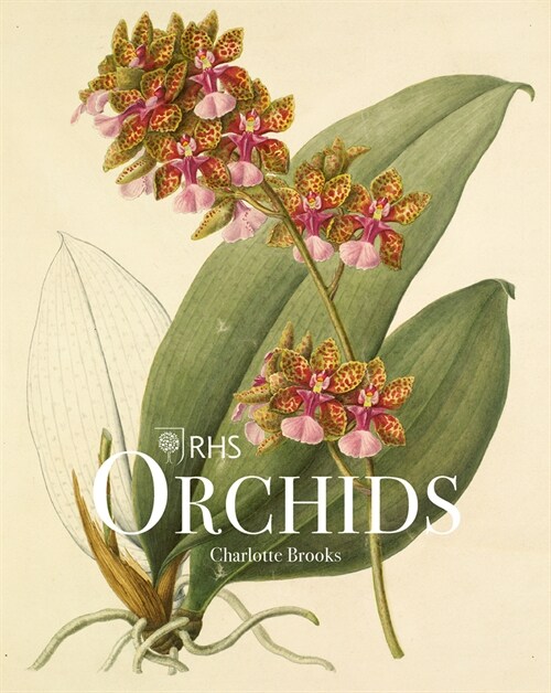 RHS Orchids (Hardcover)