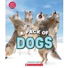 A Pack of Dogs (Learn About: Animals) (Paperback)