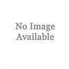 Police and Public Safety Information Systems: A Basic Reference Manual for It Professionals, Second Edition (Paperback, 2)