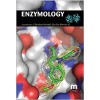 Enzymology