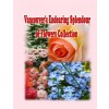 [POD] Vancouver's Endearing Splendour of Flowers Collection (Paperback)